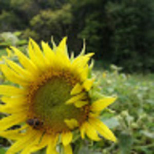 Meet your Posher, Paula